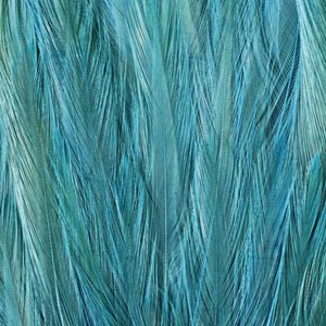 Feather Animal Print Oculus Quest 2 Skin
